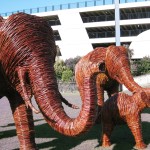 The elephant family